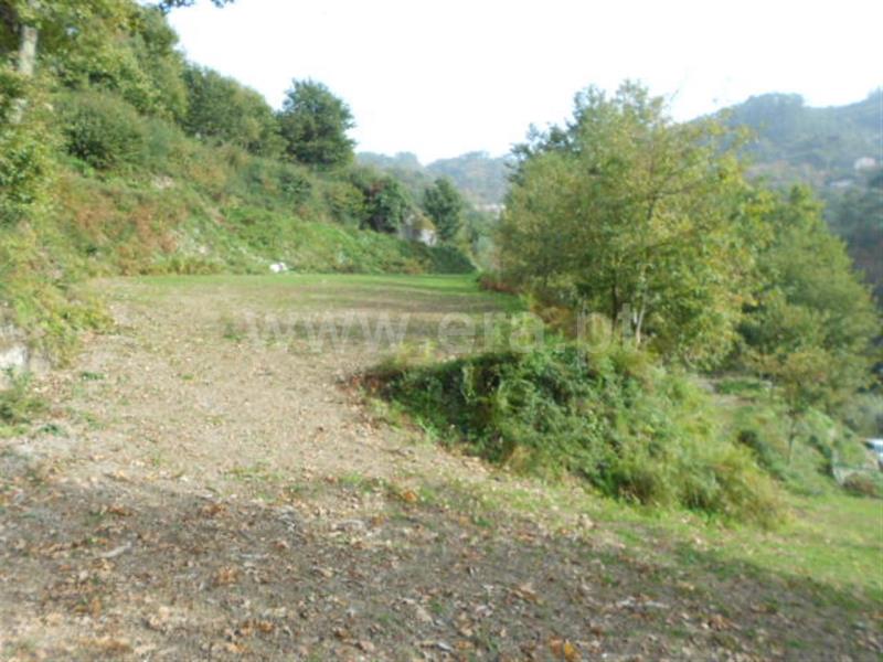 Terreno  Vieira do Minho, Ventosa e Cova - 693454 - 2