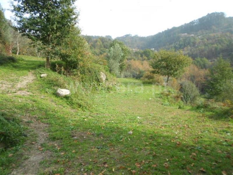 Terreno  Vieira do Minho, Ventosa e Cova - 693454 - 4
