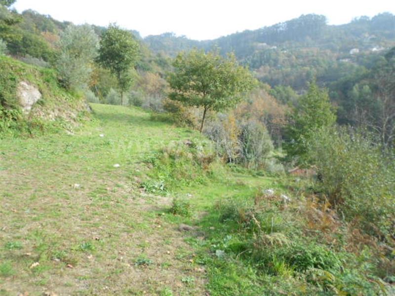 Terreno  Vieira do Minho, Ventosa e Cova - 693454 - 5