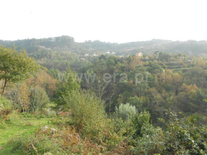 Terreno  Vieira do Minho, Ventosa e Cova - 693454 - 6