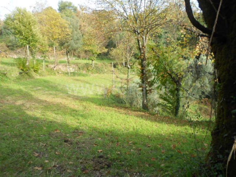 Terreno  Vieira do Minho, Ventosa e Cova - 693454 - 1