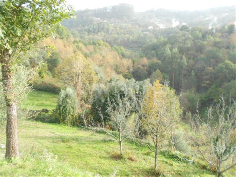 Terreno  Vieira do Minho, Ventosa e Cova - 693454 - 17