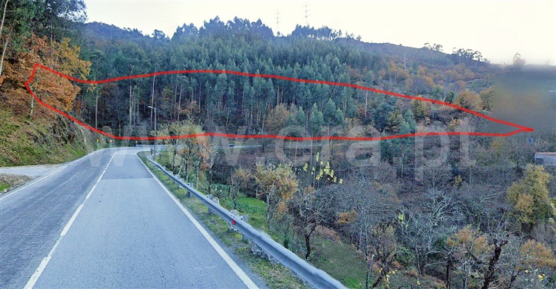 Terreno  Vieira do Minho, Ventosa e Cova - 696506 - 20