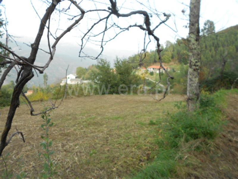 Terreno  Vieira do Minho, Ventosa e Cova - 696506 - 6