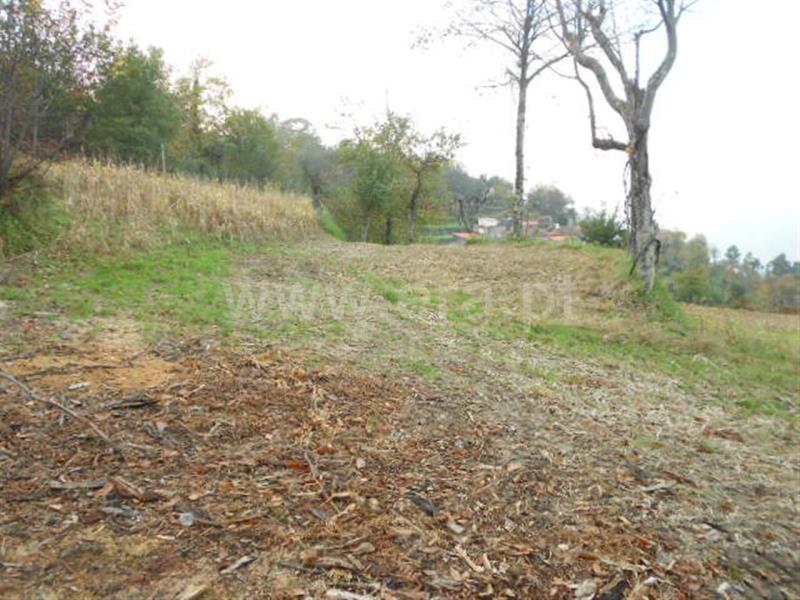 Terreno  Vieira do Minho, Ventosa e Cova - 696506 - 9
