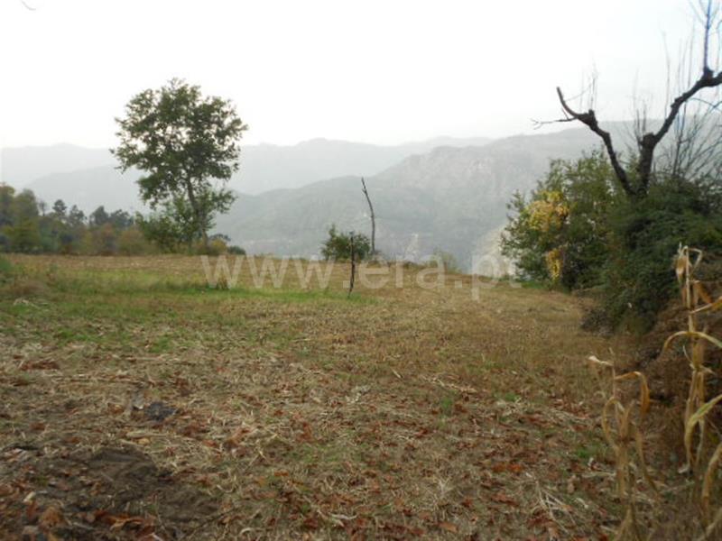 Terreno  Vieira do Minho, Ventosa e Cova - 696506 - 10