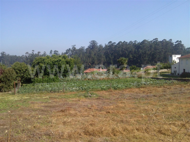 Terreno / Vila do Conde, Arcos