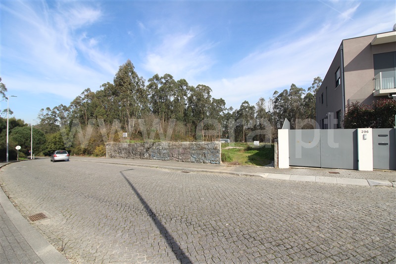 Terreno / Vila do Conde, Árvore