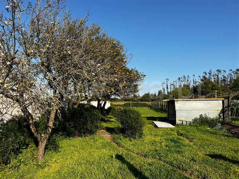 Terreno / Vila do Conde, Aveleda