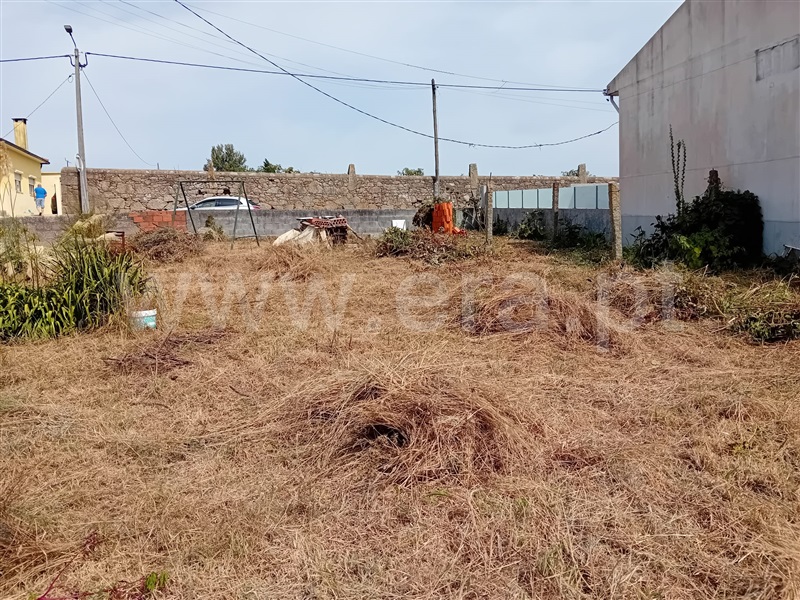 Terreno / Vila do Conde, Gião