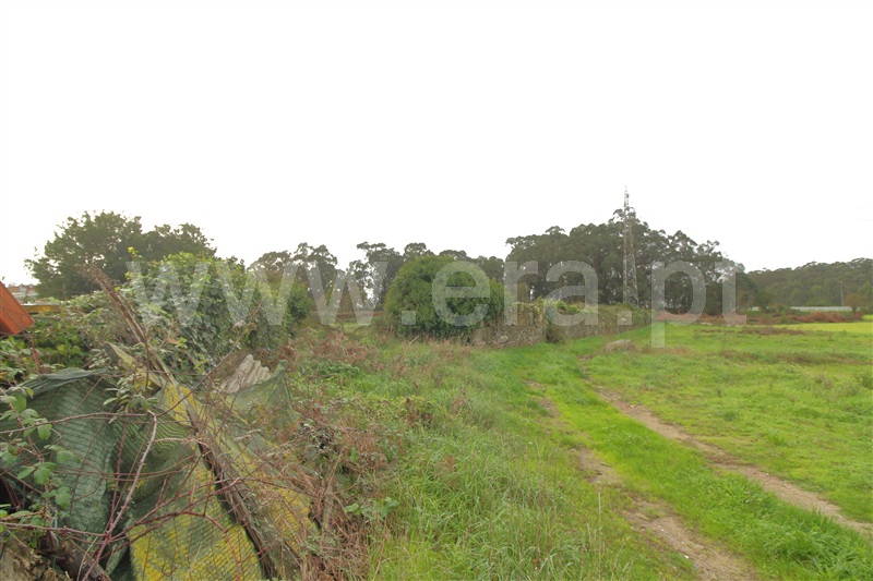 Terreno  com Urbano Vila do Conde, Lapa - 1287633 - 6