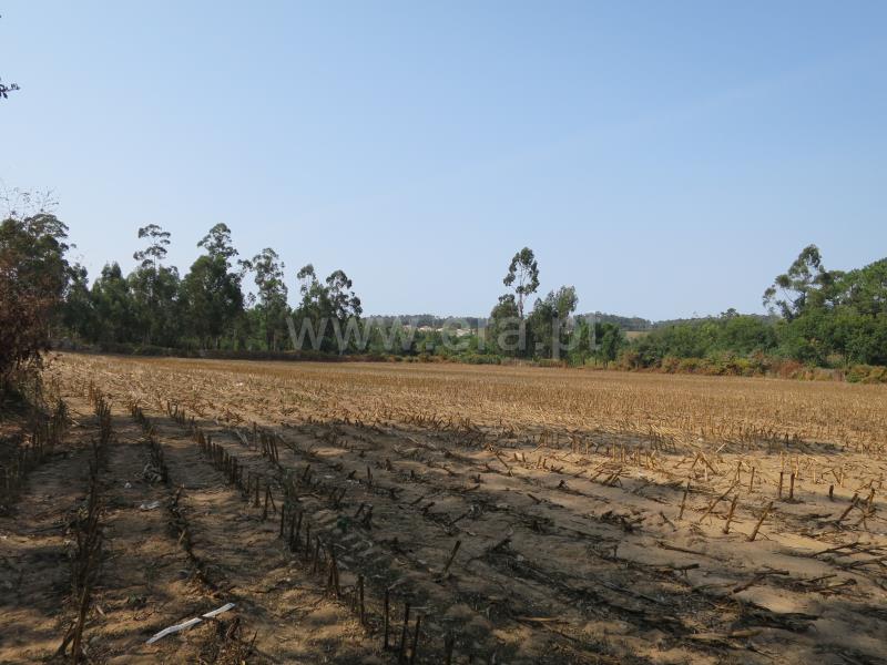 Terreno / Vila do Conde, Modivas