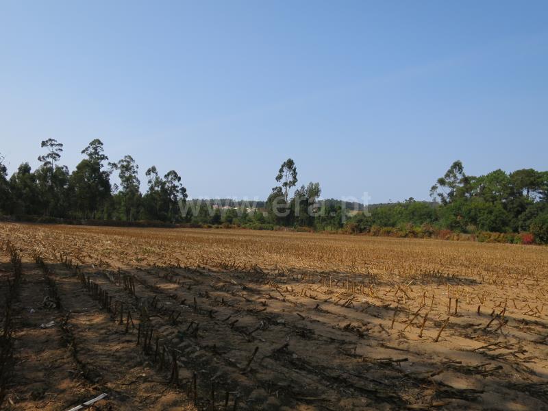 Terreno  Vila do Conde, Modivas - 846849 - 2