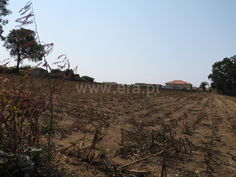 Terreno  Vila do Conde, Modivas - 846849 - 3