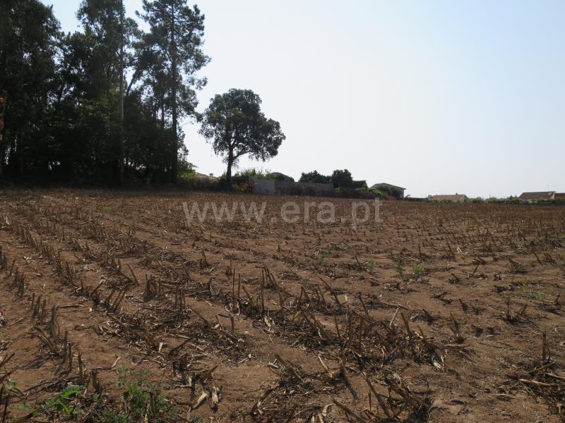 Terreno  Vila do Conde, Modivas - 846849 - 6