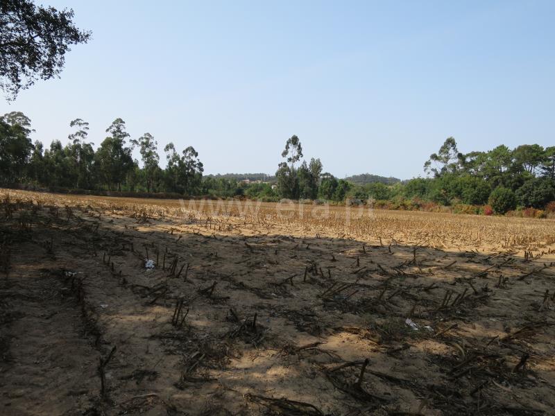 Terreno  Vila do Conde, Modivas - 846849 - 7