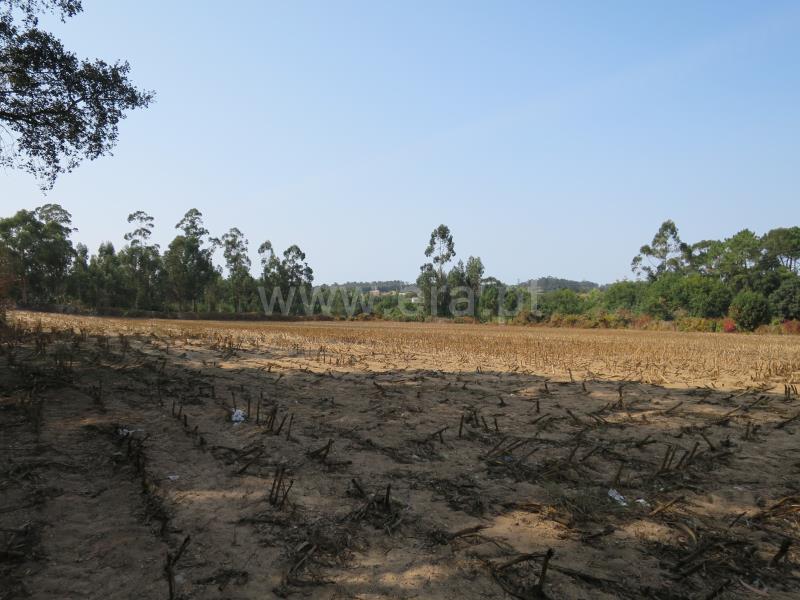 Terreno  Vila do Conde, Modivas - 846849 - 8