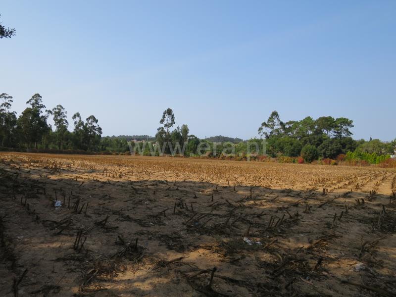 Terreno  Vila do Conde, Modivas - 846849 - 9
