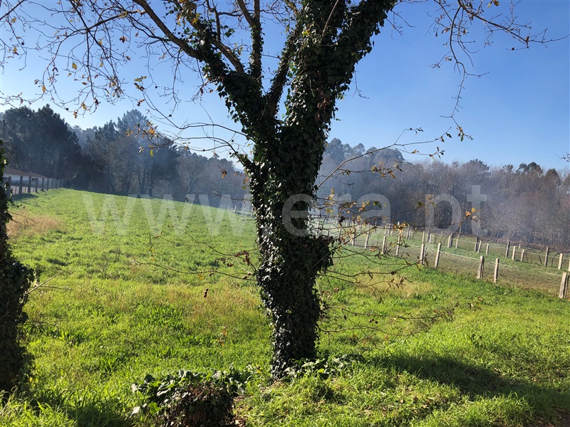 Terreno  Vila Nova de Cerveira, Campos e Vila Meã - 1300674 - 2