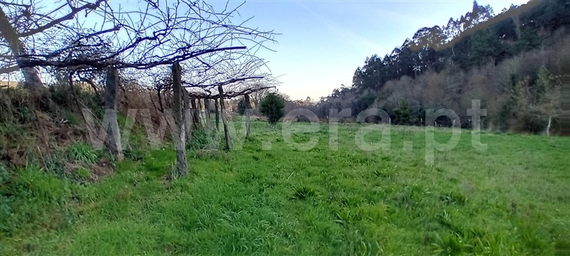 Terreno  Vila Nova de Cerveira, Candemil e Gondar - 1464658 - 1