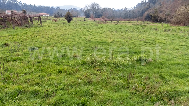 Terreno  Vila Nova de Cerveira, Candemil e Gondar - 1464658 - 16