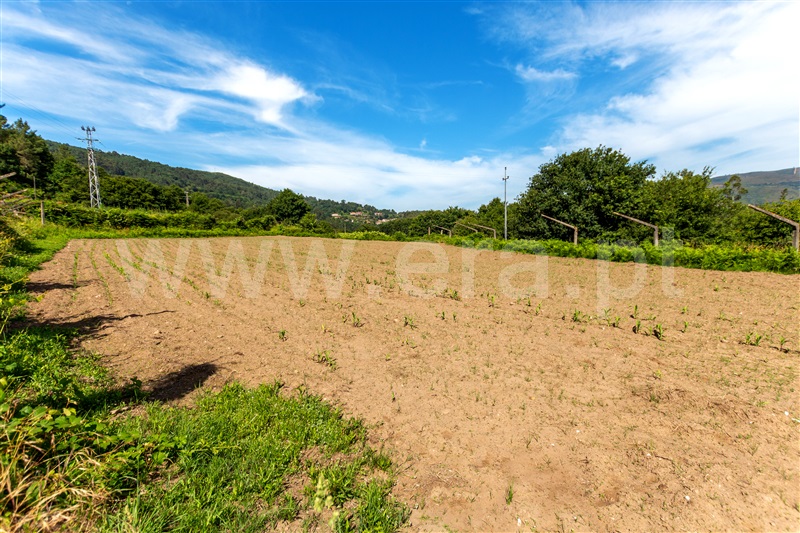 Terreno / Vila Nova de Cerveira, Covas