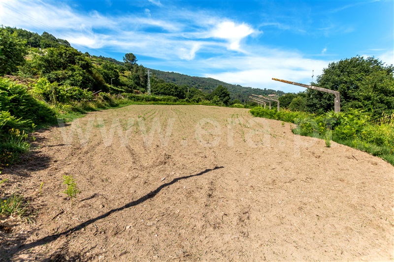 Terreno  Vila Nova de Cerveira, Covas - 1177110 - 2