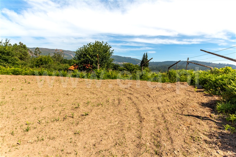 Terreno  Vila Nova de Cerveira, Covas - 1177110 - 3