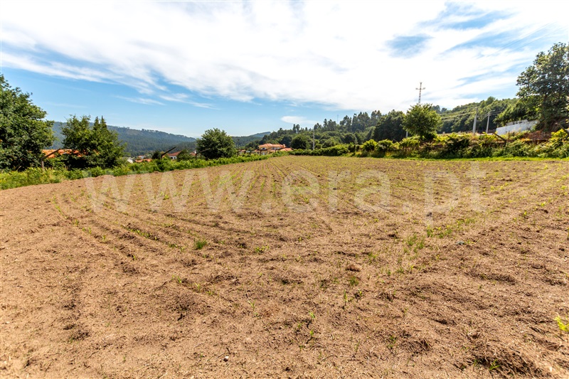Terreno  Vila Nova de Cerveira, Covas - 1177110 - 5