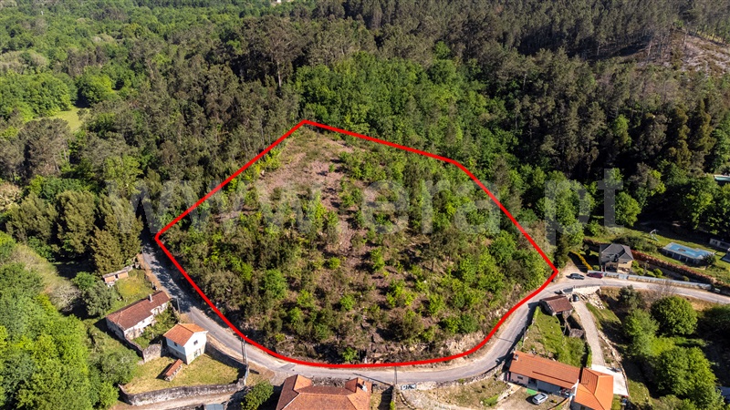 Terreno / Vila Nova de Cerveira, Covas