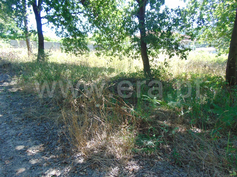 Terreno  Vila Nova de Famalicão, Arnoso (Santa Maria e Santa Eulália) e Sezures - 1088842 - 2