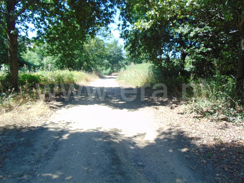 Terreno  Vila Nova de Famalicão, Arnoso (Santa Maria e Santa Eulália) e Sezures - 1088842 - 5