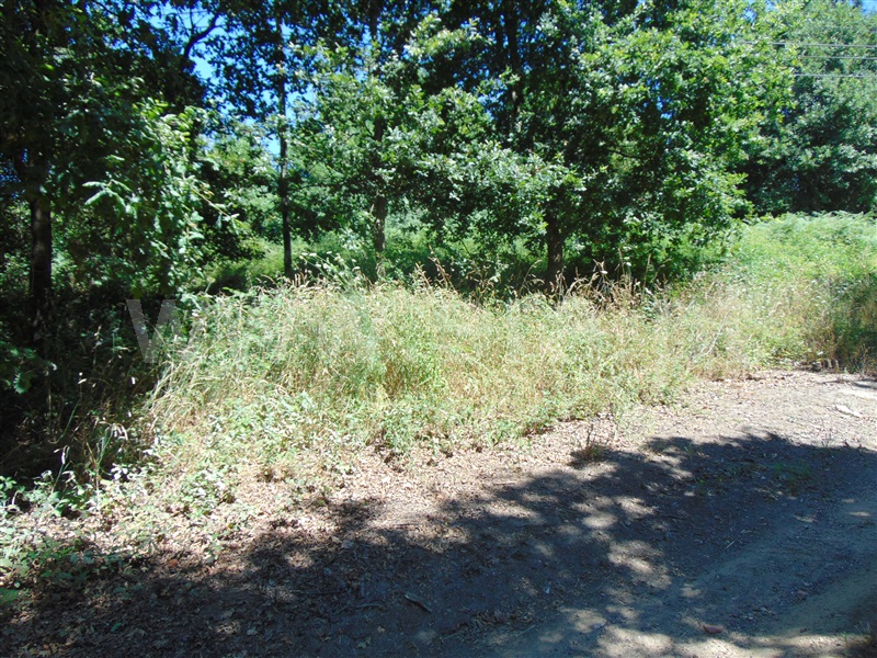Terreno  Vila Nova de Famalicão, Arnoso (Santa Maria e Santa Eulália) e Sezures - 1088842 - 6