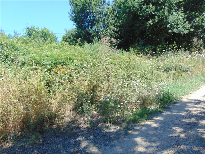 Terreno  Vila Nova de Famalicão, Arnoso (Santa Maria e Santa Eulália) e Sezures - 1088842 - 7