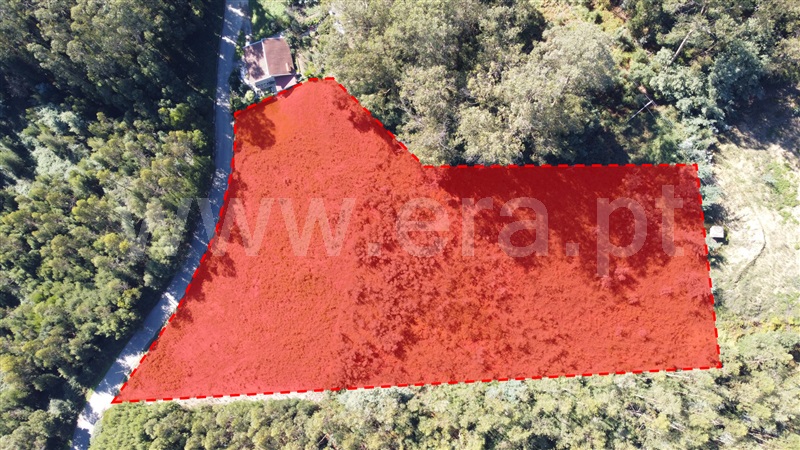 Terreno / Vila Nova de Famalicão, Cruz