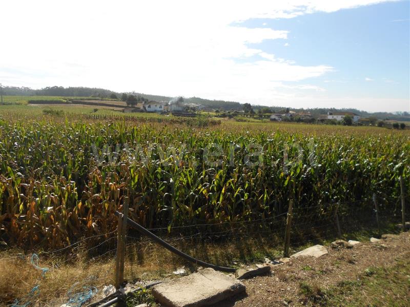 Terreno  Vila Nova de Famalicão, Fradelos - 476434 - 5