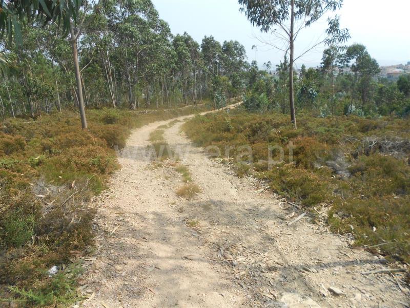Terreno  Vila Nova de Famalicão, Ribeirão - 525939 - 2