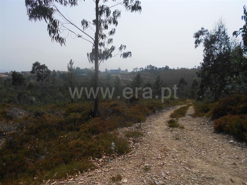 Terreno  Vila Nova de Famalicão, Ribeirão - 525939 - 3