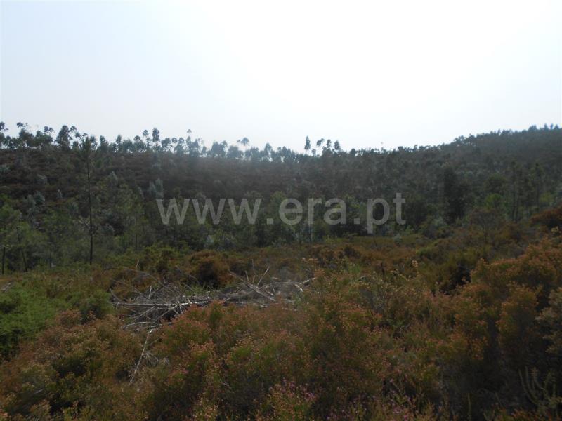 Terreno  Vila Nova de Famalicão, Ribeirão - 525939 - 9