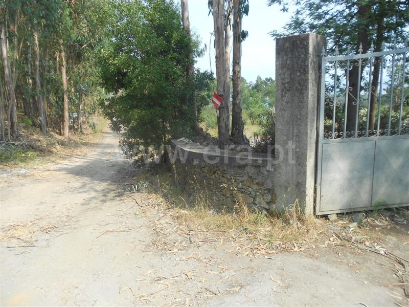 Terreno  Vila Nova de Famalicão, Ribeirão - 525939 - 13