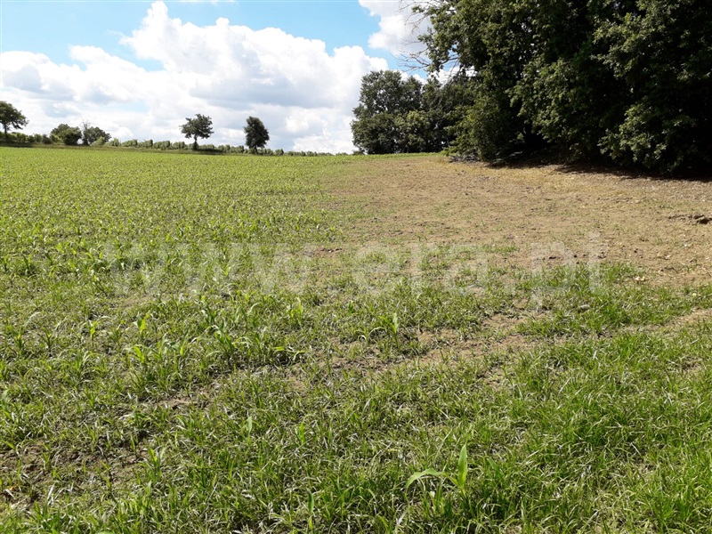 Terreno / Vila Nova de Famalicão, Seide