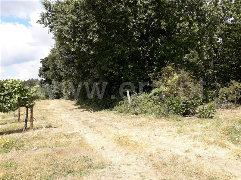 Terreno  Vila Nova de Famalicão, Seide - 1081066 - 6
