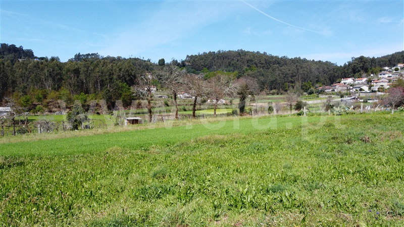 Terreno para Construção  Vila Nova de Famalicão, Vale (São Cosme), Telhado e Portela - 1174579 - 3