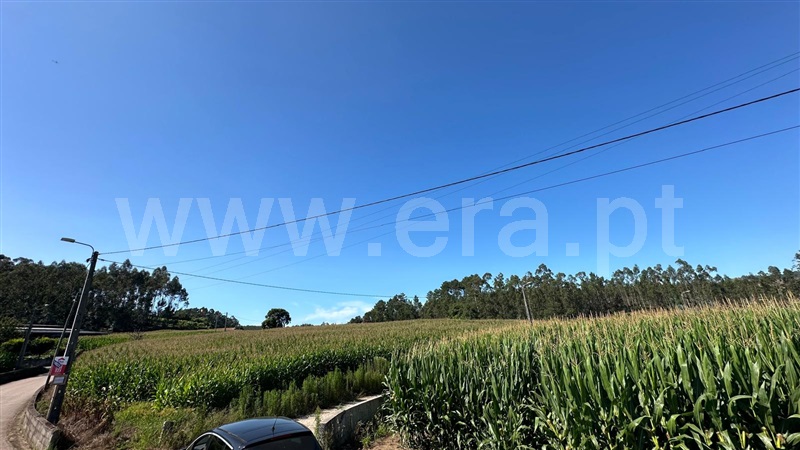 Terreno / Vila Nova de Famalicão, Vilarinho das Cambas