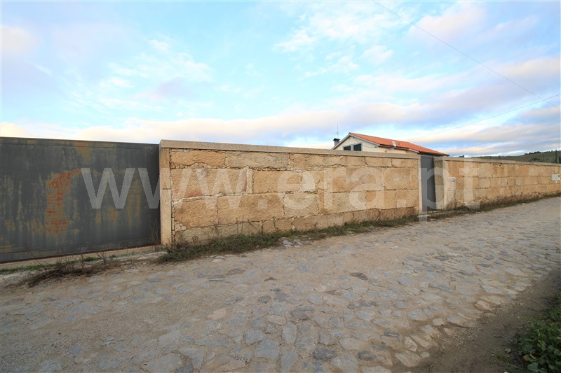 Terreno  Vila Nova de Foz Coa, Freixo de Numão - 1073107 - 4