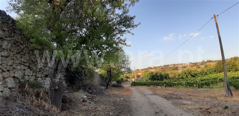 Terreno  Vila Nova de Foz Coa, Freixo de Numão - 1146803 - 3