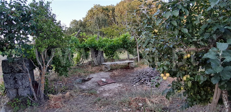 Terreno  Vila Nova de Foz Coa, Freixo de Numão - 1146803 - 7