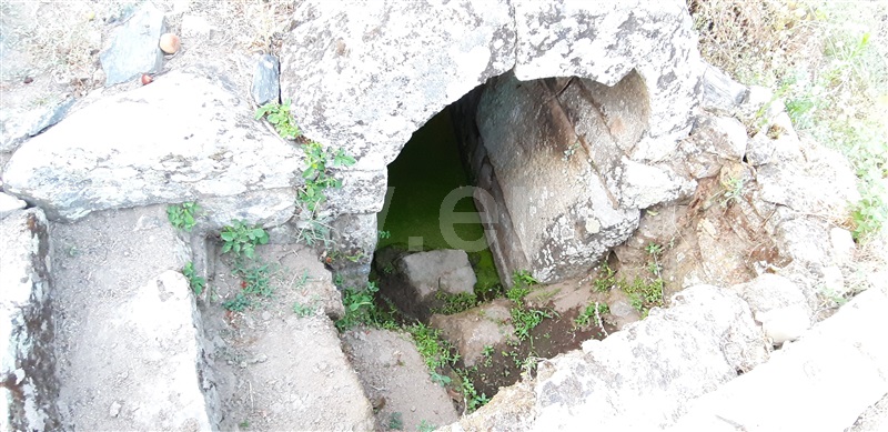 Terreno  Vila Nova de Foz Coa, Freixo de Numão - 1146803 - 8