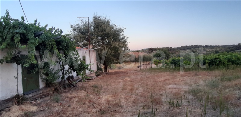 Terreno  Vila Nova de Foz Coa, Freixo de Numão - 1146803 - 14