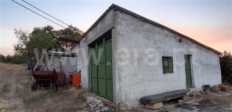 Terreno  Vila Nova de Foz Coa, Freixo de Numão - 1146803 - 16